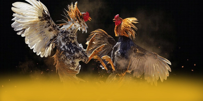 Hệ thống chăm sóc khách hàng tại W88