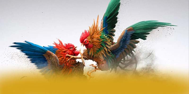 SUNWIN - Nhà cái sở hữu kho game phong phú trên thị trường